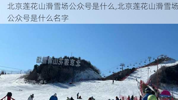 北京莲花山滑雪场公众号是什么,北京莲花山滑雪场公众号是什么名字