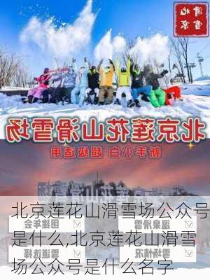 北京莲花山滑雪场公众号是什么,北京莲花山滑雪场公众号是什么名字