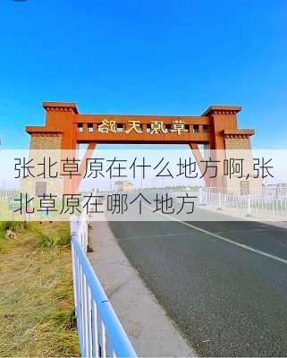 张北草原在什么地方啊,张北草原在哪个地方