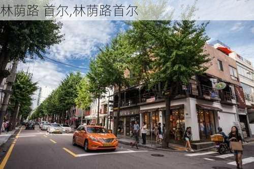 林荫路 首尔,林荫路首尔