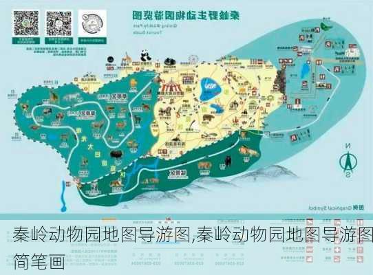 秦岭动物园地图导游图,秦岭动物园地图导游图简笔画