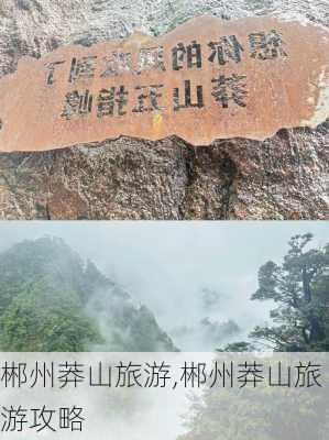 郴州莽山旅游,郴州莽山旅游攻略