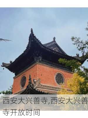 西安大兴善寺,西安大兴善寺开放时间