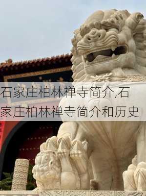 石家庄柏林禅寺简介,石家庄柏林禅寺简介和历史