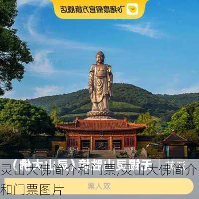 灵山大佛简介和门票,灵山大佛简介和门票图片