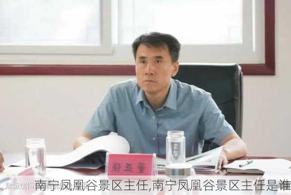 南宁凤凰谷景区主任,南宁凤凰谷景区主任是谁