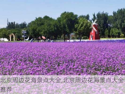 北京周边花海景点大全,北京周边花海景点大全推荐