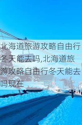 北海道旅游攻略自由行冬天能去吗,北海道旅游攻略自由行冬天能去吗现在