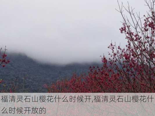 福清灵石山樱花什么时候开,福清灵石山樱花什么时候开放的