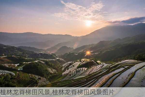 桂林龙脊梯田风景,桂林龙脊梯田风景图片