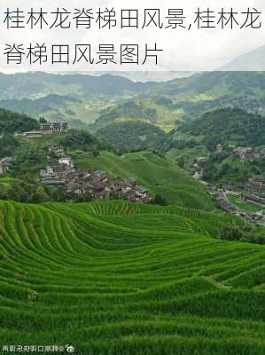 桂林龙脊梯田风景,桂林龙脊梯田风景图片