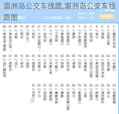 湄洲岛公交车线路,湄洲岛公交车线路图