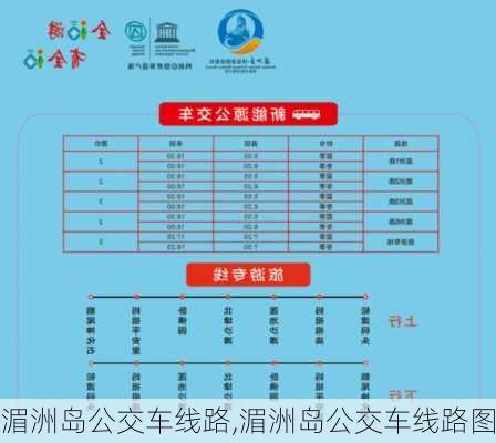 湄洲岛公交车线路,湄洲岛公交车线路图