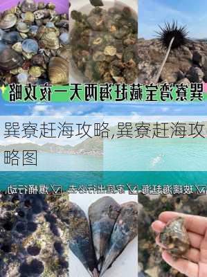 巽寮赶海攻略,巽寮赶海攻略图