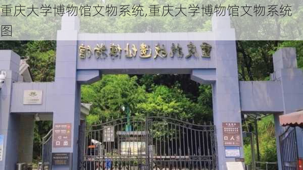 重庆大学博物馆文物系统,重庆大学博物馆文物系统图