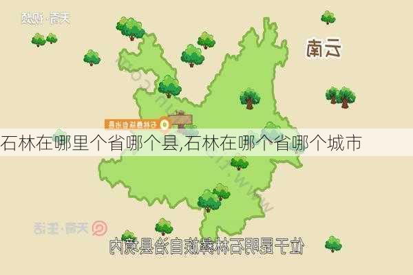 石林在哪里个省哪个县,石林在哪个省哪个城市