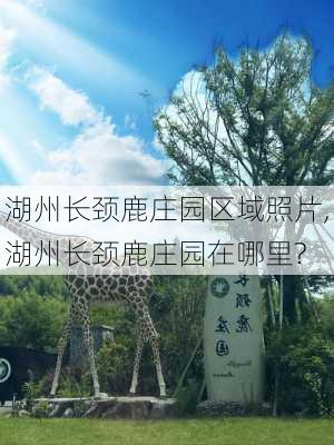 湖州长颈鹿庄园区域照片,湖州长颈鹿庄园在哪里?