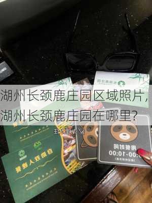 湖州长颈鹿庄园区域照片,湖州长颈鹿庄园在哪里?