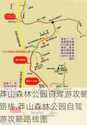 莽山森林公园自驾游攻略路线,莽山森林公园自驾游攻略路线图