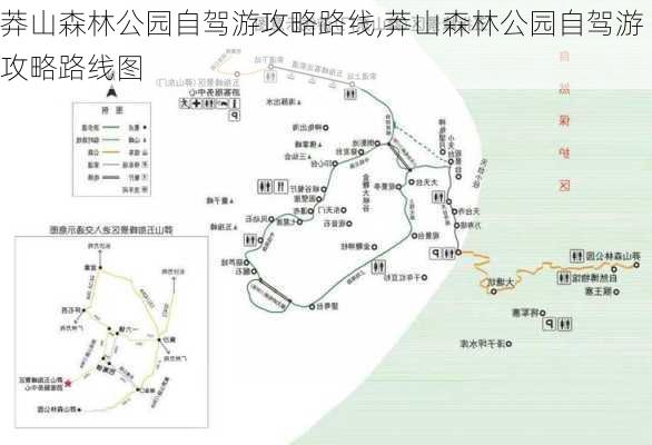 莽山森林公园自驾游攻略路线,莽山森林公园自驾游攻略路线图