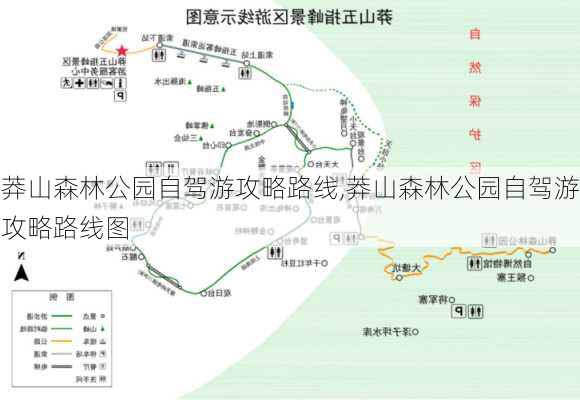 莽山森林公园自驾游攻略路线,莽山森林公园自驾游攻略路线图