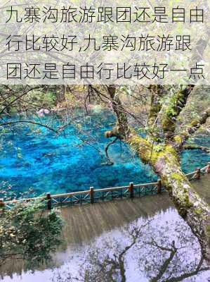 九寨沟旅游跟团还是自由行比较好,九寨沟旅游跟团还是自由行比较好一点