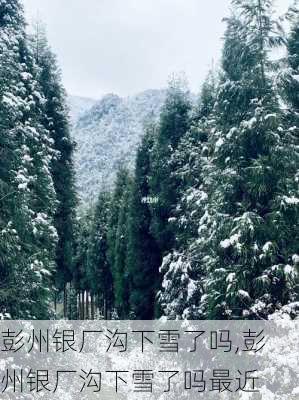 彭州银厂沟下雪了吗,彭州银厂沟下雪了吗最近