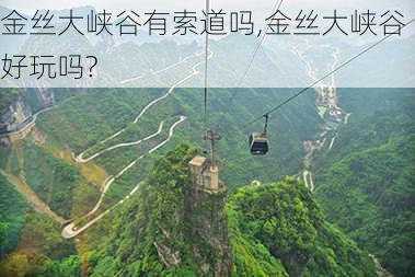 金丝大峡谷有索道吗,金丝大峡谷好玩吗?