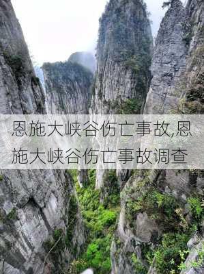 恩施大峡谷伤亡事故,恩施大峡谷伤亡事故调查