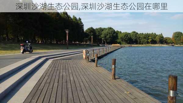 深圳沙湖生态公园,深圳沙湖生态公园在哪里