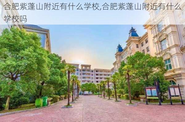 合肥紫蓬山附近有什么学校,合肥紫蓬山附近有什么学校吗