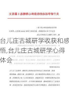 台儿庄古城研学收获和感悟,台儿庄古城研学心得体会