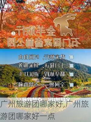 广州旅游团哪家好,广州旅游团哪家好一点