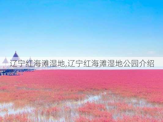 辽宁红海滩湿地,辽宁红海滩湿地公园介绍