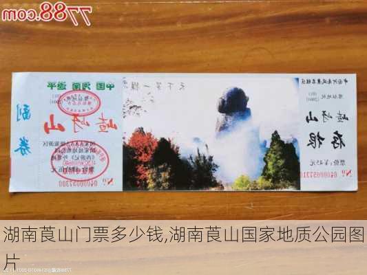 湖南莨山门票多少钱,湖南莨山国家地质公园图片