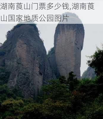 湖南莨山门票多少钱,湖南莨山国家地质公园图片