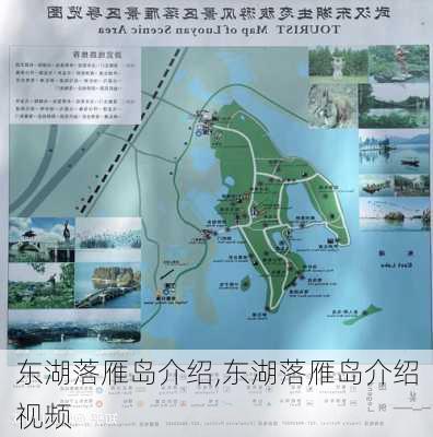 东湖落雁岛介绍,东湖落雁岛介绍视频