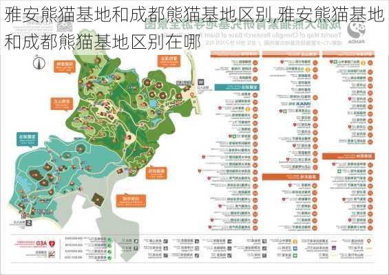 雅安熊猫基地和成都熊猫基地区别,雅安熊猫基地和成都熊猫基地区别在哪