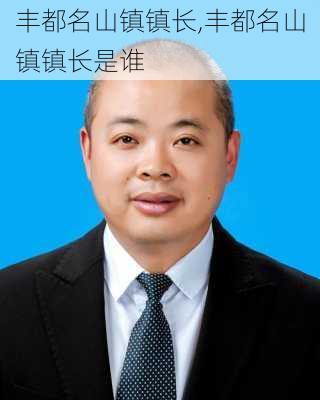 丰都名山镇镇长,丰都名山镇镇长是谁