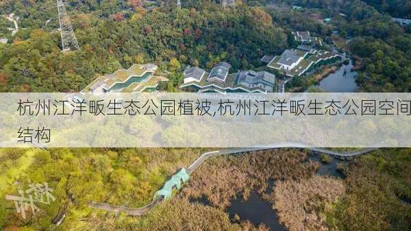 杭州江洋畈生态公园植被,杭州江洋畈生态公园空间结构