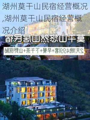 湖州莫干山民宿经营概况,湖州莫干山民宿经营概况介绍