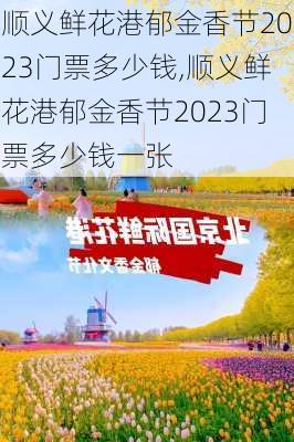 顺义鲜花港郁金香节2023门票多少钱,顺义鲜花港郁金香节2023门票多少钱一张