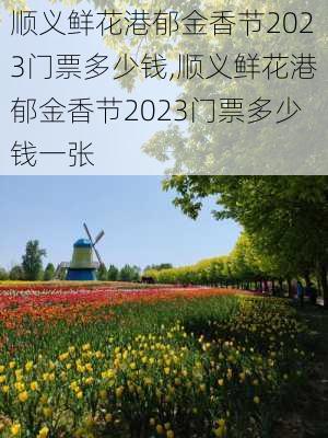 顺义鲜花港郁金香节2023门票多少钱,顺义鲜花港郁金香节2023门票多少钱一张