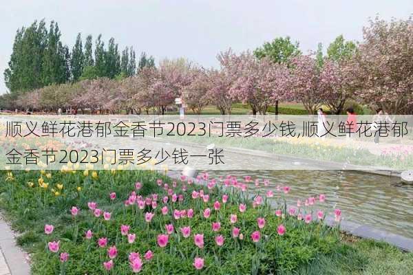 顺义鲜花港郁金香节2023门票多少钱,顺义鲜花港郁金香节2023门票多少钱一张