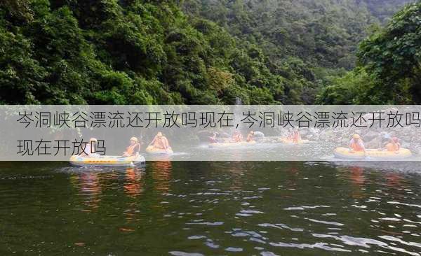 岑洞峡谷漂流还开放吗现在,岑洞峡谷漂流还开放吗现在开放吗