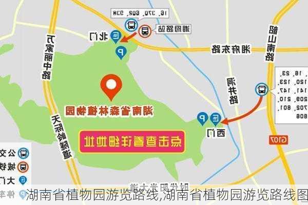 湖南省植物园游览路线,湖南省植物园游览路线图