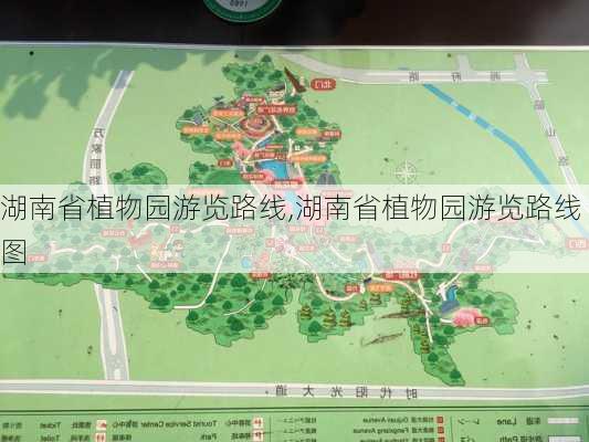 湖南省植物园游览路线,湖南省植物园游览路线图