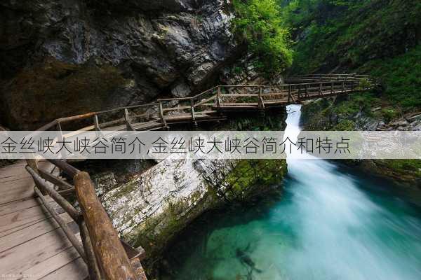 金丝峡大峡谷简介,金丝峡大峡谷简介和特点