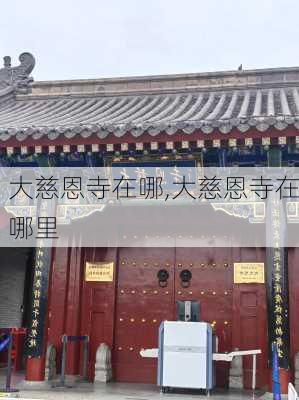 大慈恩寺在哪,大慈恩寺在哪里