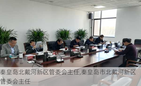 秦皇岛北戴河新区管委会主任,秦皇岛市北戴河新区管委会主任